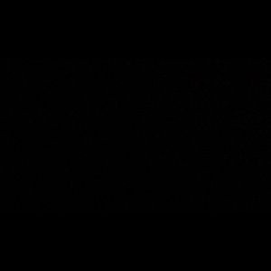 Meet your Posher, Aminata